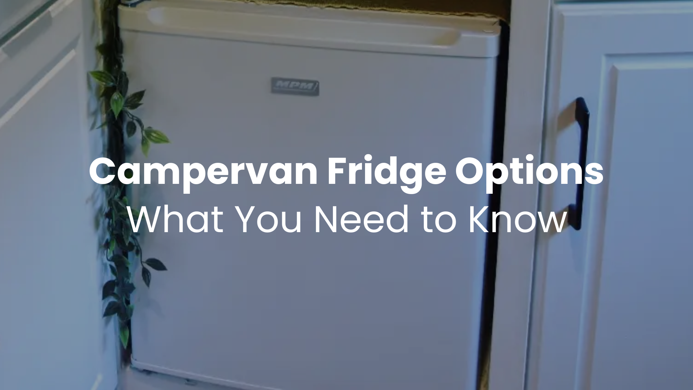 Campervan Fridge Options